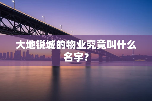 大地锐城的物业究竟叫什么名字？