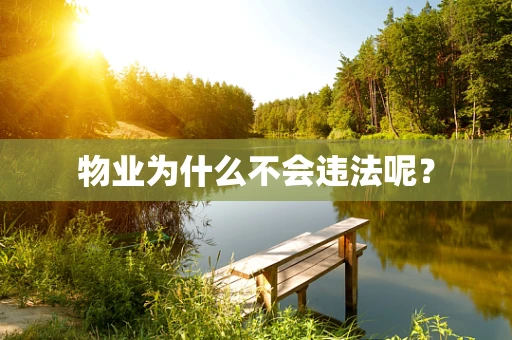 物业为什么不会违法呢？