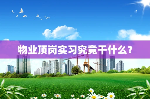 物业顶岗实习究竟干什么？