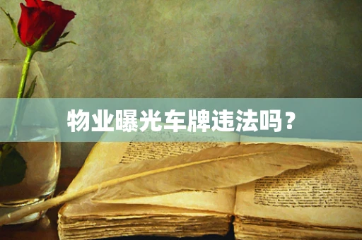 物业曝光车牌违法吗？
