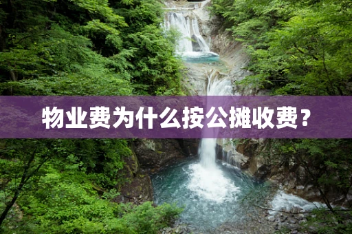 物业费为什么按公摊收费？