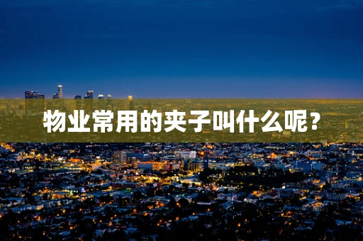物业常用的夹子叫什么呢？