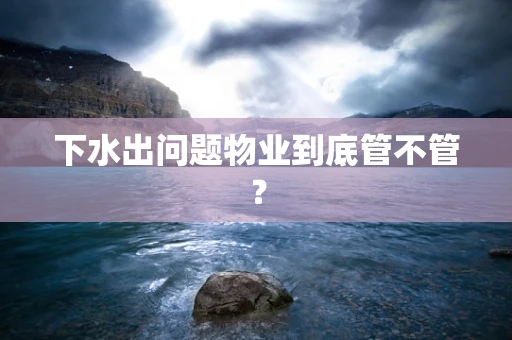 下水出问题物业到底管不管？