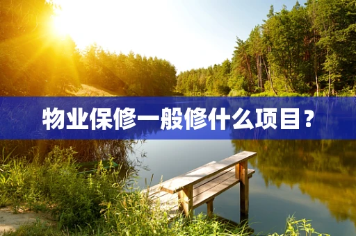 物业保修一般修什么项目？