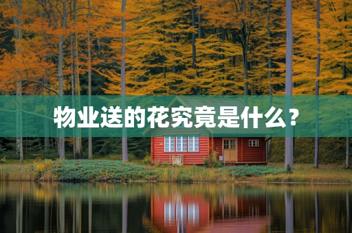 物业送的花究竟是什么？