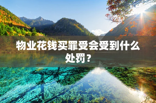 物业花钱买罪受会受到什么处罚？