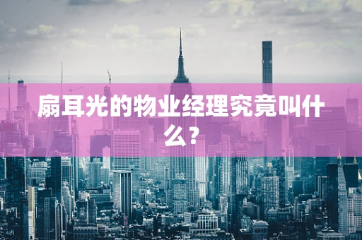 扇耳光的物业经理究竟叫什么？