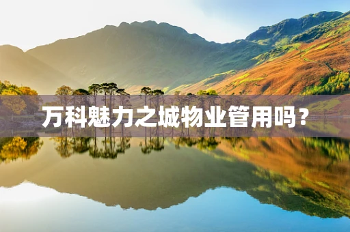 万科魅力之城物业管用吗？