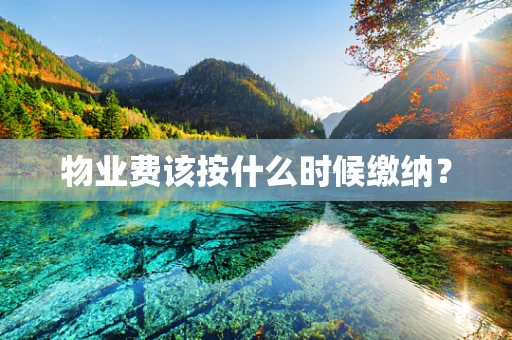 物业费该按什么时候缴纳？