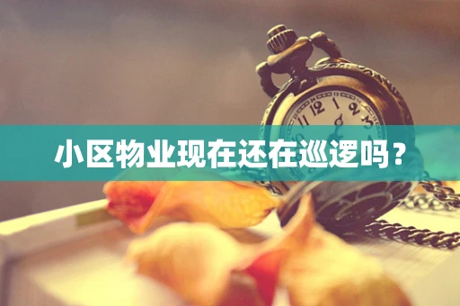 小区物业现在还在巡逻吗？