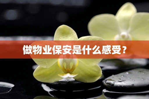 做物业保安是什么感受？