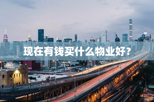 现在有钱买什么物业好？
