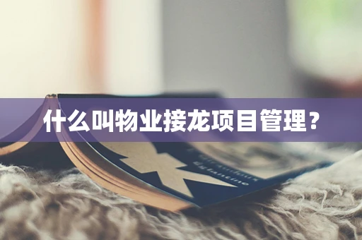 什么叫物业接龙项目管理？