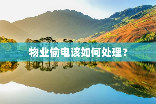 物业偷电该如何处理？