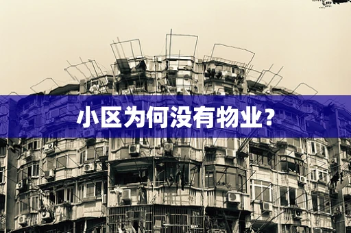 小区为何没有物业？