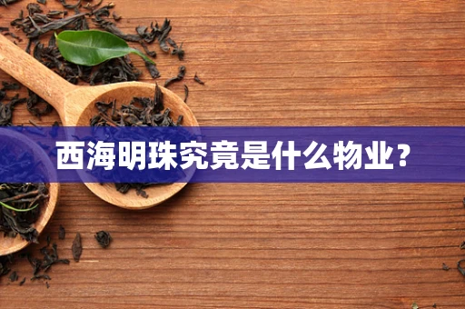 西海明珠究竟是什么物业？