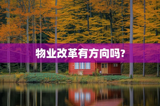 物业改革有方向吗?