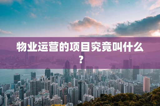 物业运营的项目究竟叫什么？