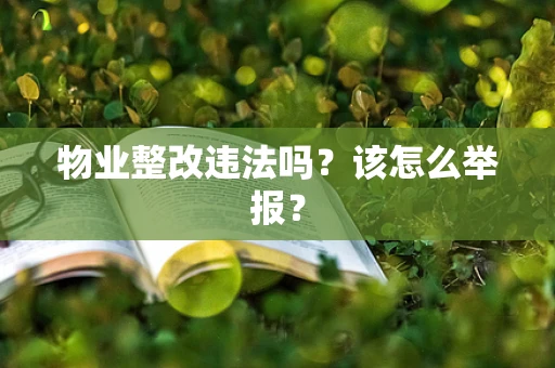 物业整改违法吗？该怎么举报？