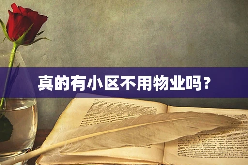 真的有小区不用物业吗？