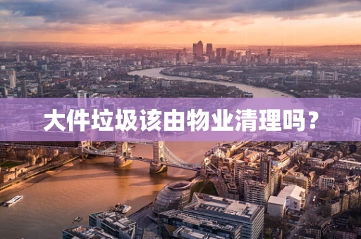 大件垃圾该由物业清理吗？