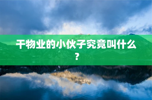 干物业的小伙子究竟叫什么？