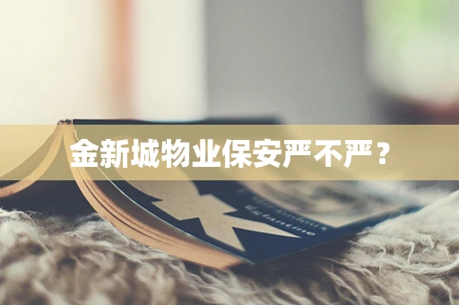 金新城物业保安严不严？