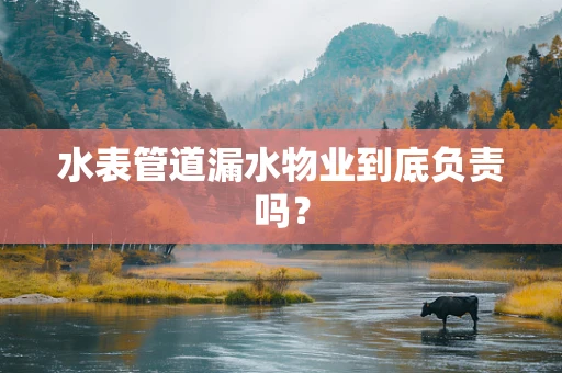 水表管道漏水物业到底负责吗？