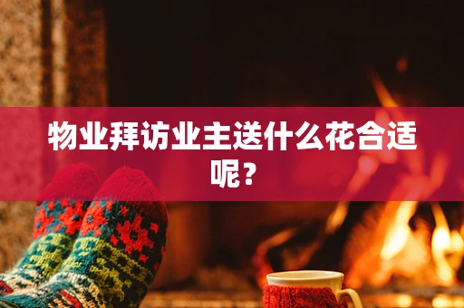 物业拜访业主送什么花合适呢？