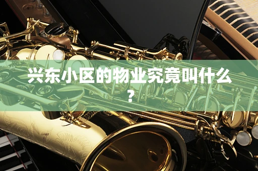 兴东小区的物业究竟叫什么？
