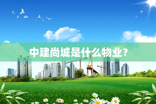中建尚城是什么物业？