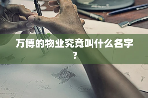 万博的物业究竟叫什么名字？