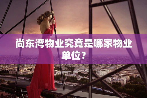 尚东湾物业究竟是哪家物业单位？