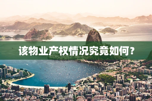 该物业产权情况究竟如何？