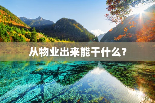 从物业出来能干什么？