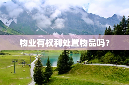 物业有权利处置物品吗？