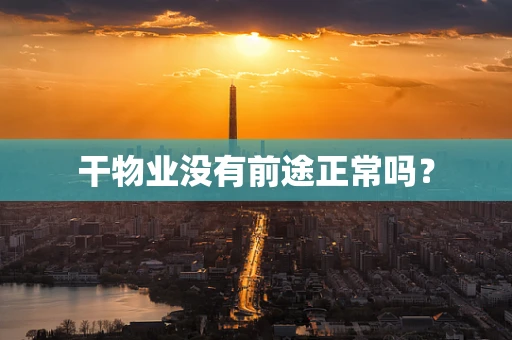 干物业没有前途正常吗？