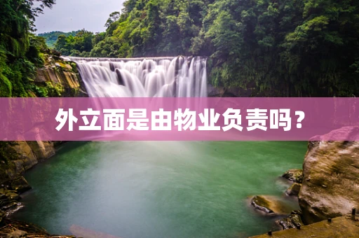 外立面是由物业负责吗？