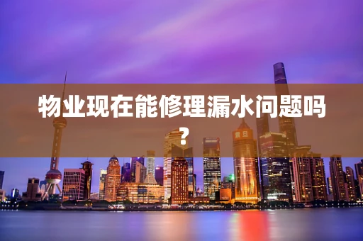 物业现在能修理漏水问题吗？