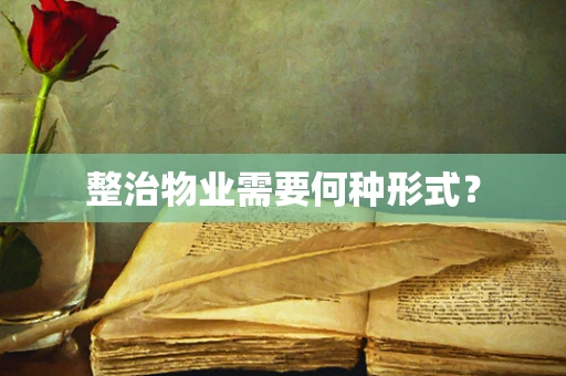 整治物业需要何种形式？