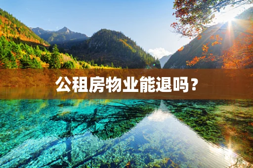 公租房物业能退吗？