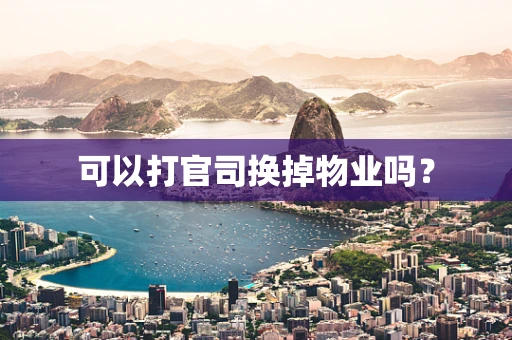 可以打官司换掉物业吗？