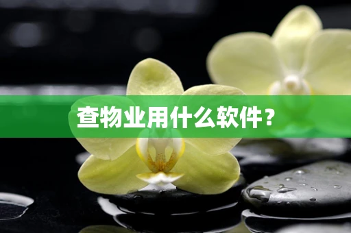 查物业用什么软件？