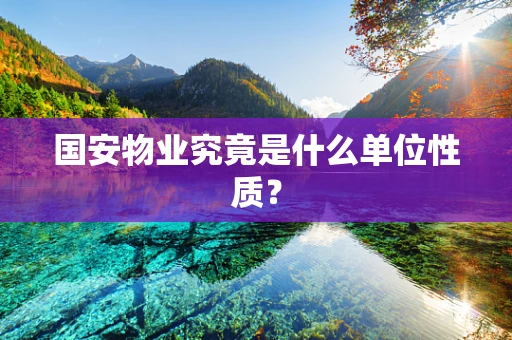 国安物业究竟是什么单位性质？