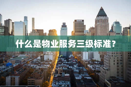 什么是物业服务三级标准？
