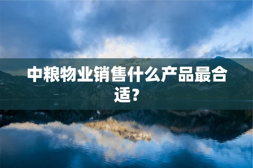 中粮物业销售什么产品最合适？