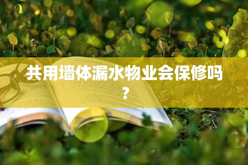 共用墙体漏水物业会保修吗？
