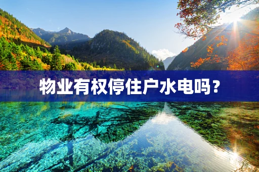 物业有权停住户水电吗？
