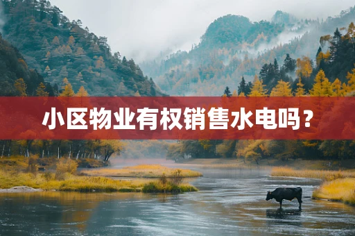 小区物业有权销售水电吗？