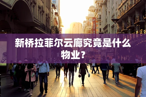 新桥拉菲尔云廊究竟是什么物业？